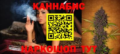 крисы Будённовск