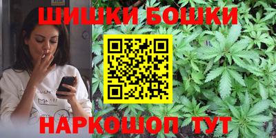 крисы Будённовск