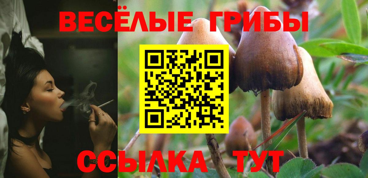 Псилоцибиновые грибы мицелий  где продают наркотики  Лесосибирск  Вход с VPN 