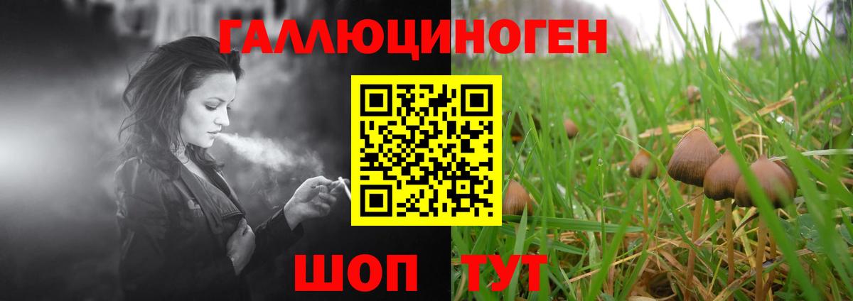 Галлюциногенные грибы Magic Shrooms Лесосибирск